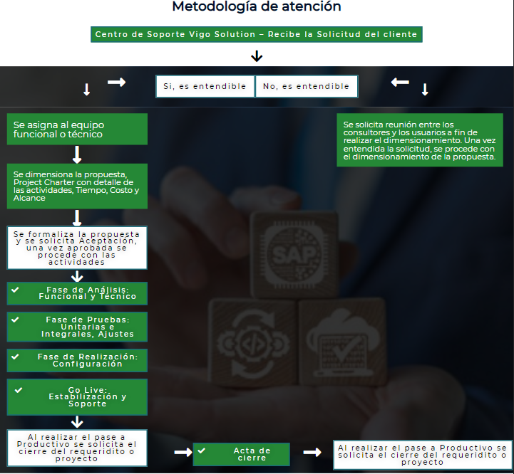 Metodología de atención